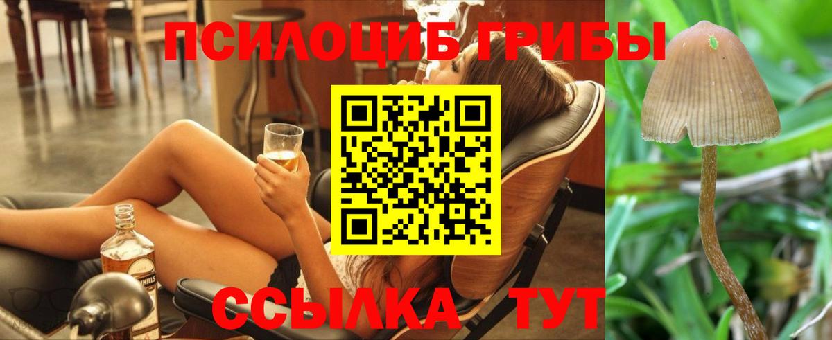 как найти закладки  Псилоцибиновые грибы GOLDEN TEACHER  Вход с VPN  Жуковский 
