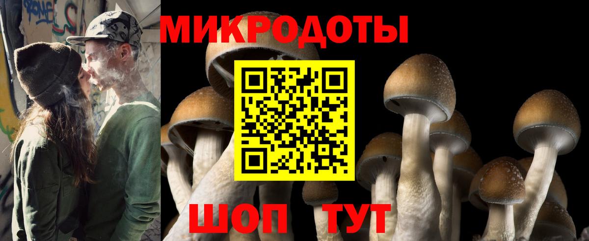 Псилоцибиновые грибы прущие грибы Жуковский